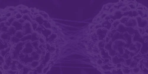 banner-abstract-1