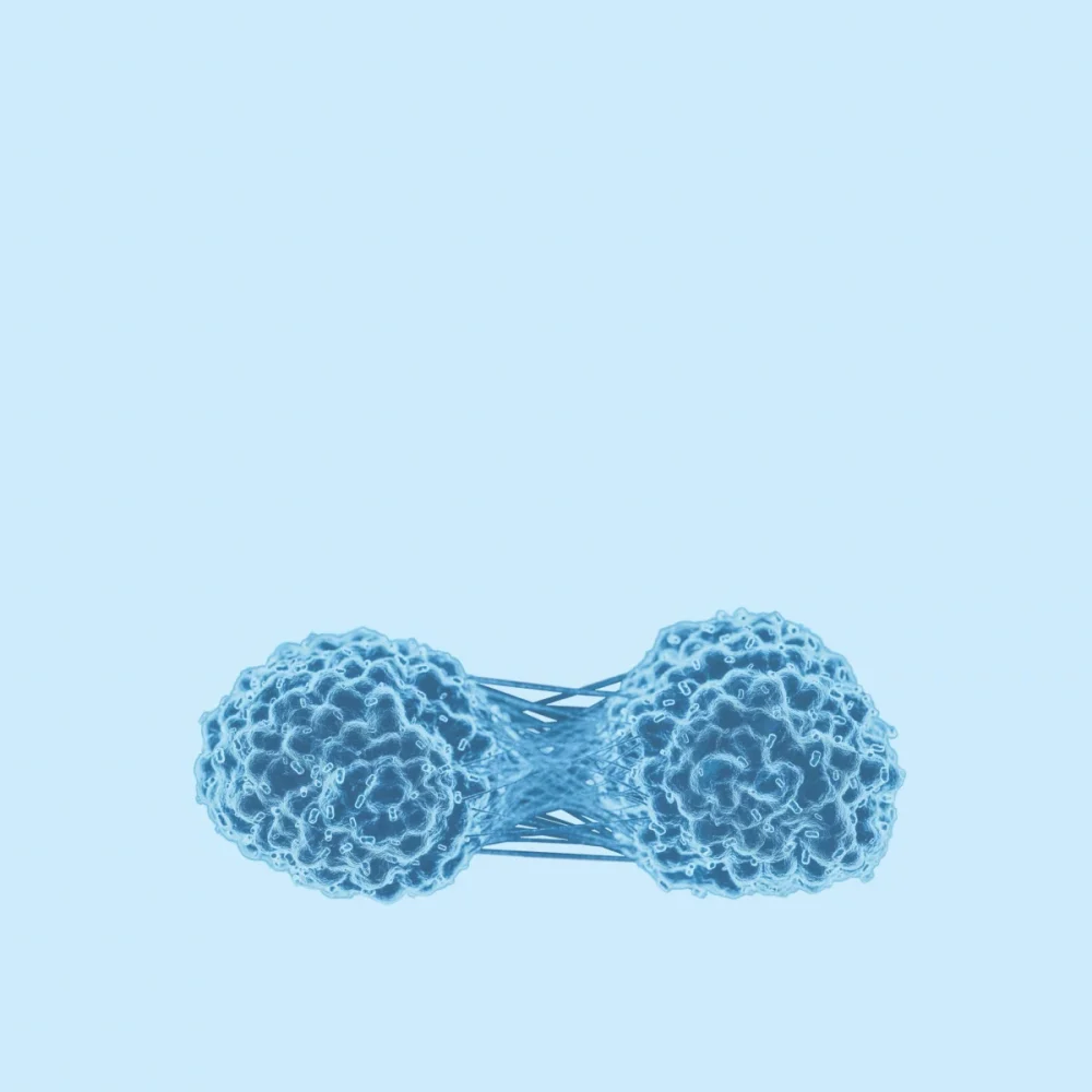 DiviTum TKa blood test measures thymidine kinase activity which reflects cell proliferation. Divitum TKa is a test used by oncologists.