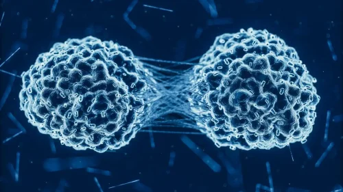 cells-pulling-apart-compressed-istock-1138655278